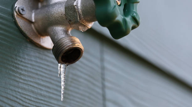 Best Shower Repair Services  in Barrackville, WV